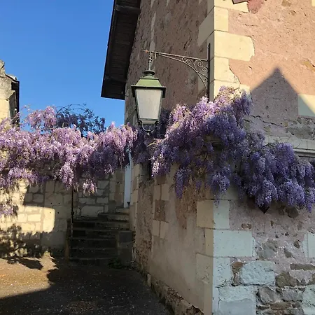 Nyaraló Magnifique Maison De Maitre Saumuroise Saumur
