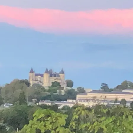 Magnifique Maison De Maitre Saumuroise * Saumur