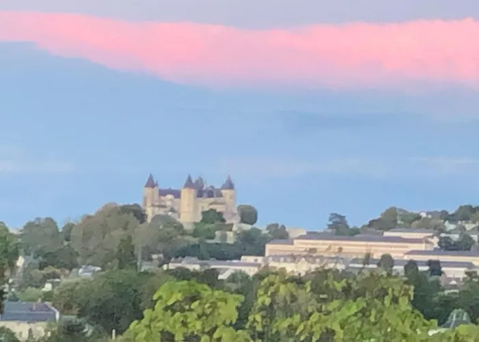 Magnifique Maison De Maitre Saumuroise * Saumur